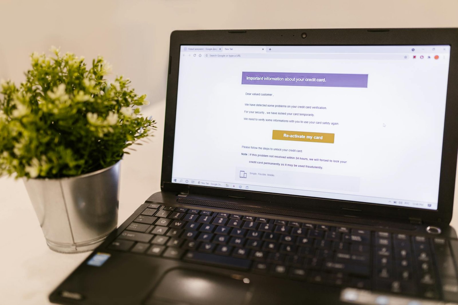 laptop on a white surface beside a vase with plant